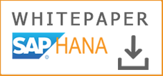consultnetwork Whitepaper SAP HANA