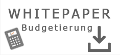 Whitepaper Budgetierung